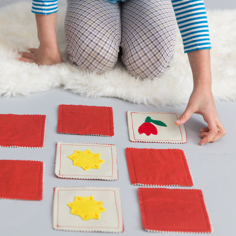 Cognitive Development - Zeki Learning